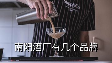 南陽(yáng)酒廠有幾個(gè)品牌