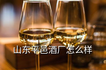 山東平邑酒廠怎么樣