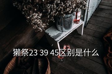 獺祭23 39 45區(qū)別是什么