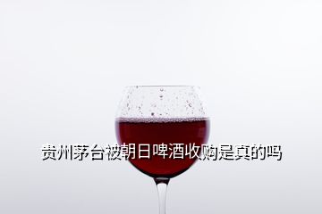 貴州茅臺(tái)被朝日啤酒收購(gòu)是真的嗎