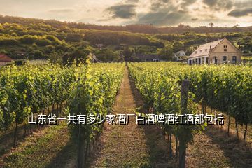 山東省一共有多少家酒廠白酒啤酒紅酒都包括