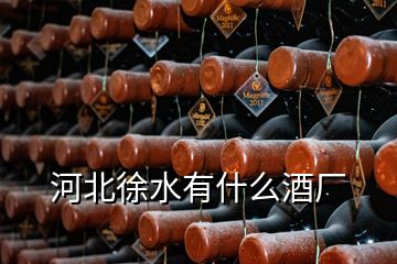 河北徐水有什么酒廠