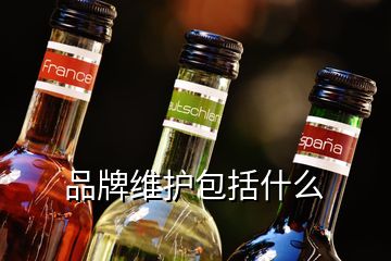 品牌維護(hù)包括什么