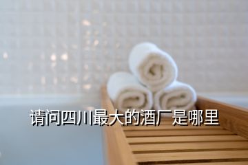 請(qǐng)問四川最大的酒廠是哪里