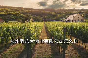 鄭州老八大酒業(yè)有限公司怎么樣