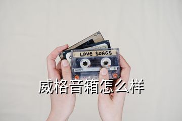 威格音箱怎么樣