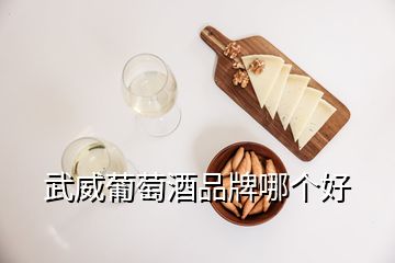 武威葡萄酒品牌哪個(gè)好