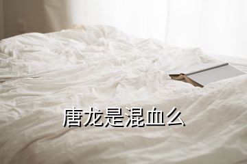 唐龍是混血么