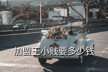 加盟王小賤要多少錢