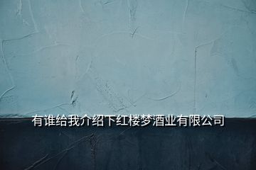 有誰給我介紹下紅樓夢酒業(yè)有限公司