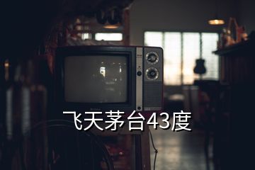 飛天茅臺43度