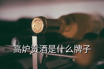 高爐貢酒是什么牌子