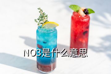 NO3是什么意思