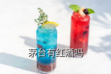 茅臺(tái)有紅酒嗎