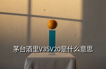 茅臺(tái)酒里V35V20是什么意思