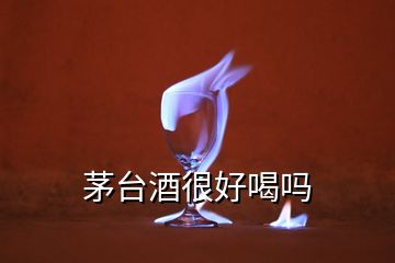 茅臺(tái)酒很好喝嗎