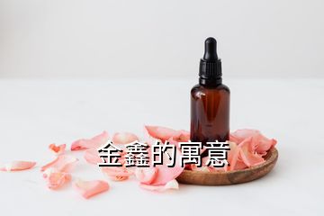 金鑫的寓意