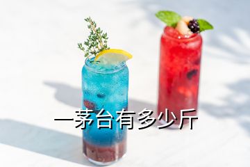 一茅臺有多少斤