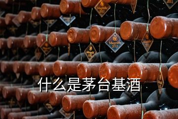 什么是茅臺(tái)基酒