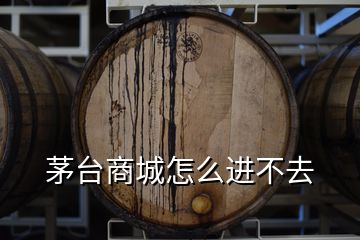 茅臺(tái)商城怎么進(jìn)不去