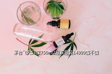 茅臺(tái)飛天53度750ml2瓶雙瓶裝14999值不值