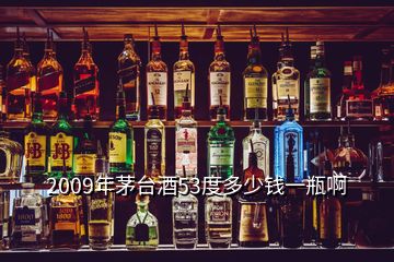 2009年茅臺酒53度多少錢一瓶啊