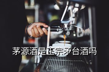 茅源酒是正宗矛臺酒嗎