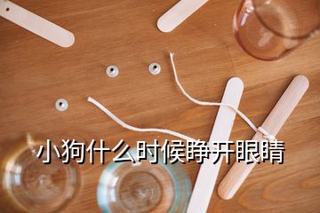 小狗什么時(shí)候睜開(kāi)眼睛