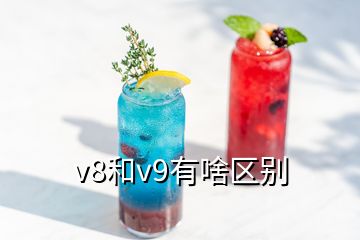 v8和v9有啥區(qū)別