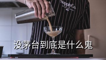 沒茅臺到底是什么鬼