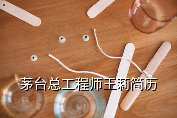 茅臺總工程師王莉簡歷