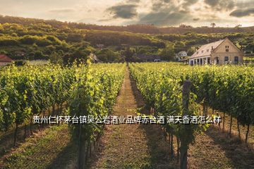 貴州仁懷茅臺鎮(zhèn)吳公巖酒業(yè)品牌赤臺酒 滿天香酒怎么樣