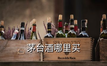 茅臺(tái)酒哪里買(mǎi)