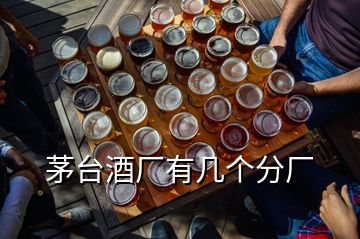 茅臺酒廠有幾個(gè)分廠