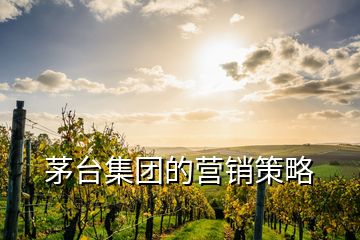 茅臺(tái)集團(tuán)的營(yíng)銷策略