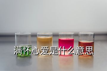 滿懷心愛是什么意思