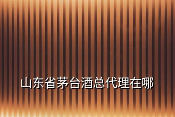 山東省茅臺(tái)酒總代理在哪