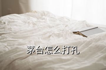 茅臺怎么打孔