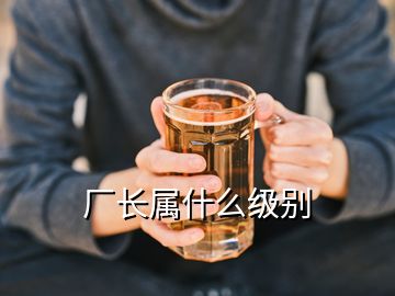 廠長(zhǎng)屬什么級(jí)別