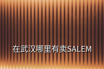 在武漢哪里有賣SALEM