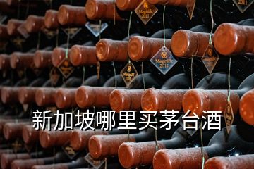 新加坡哪里買茅臺(tái)酒