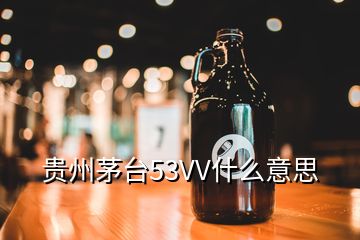 貴州茅臺(tái)53VV什么意思