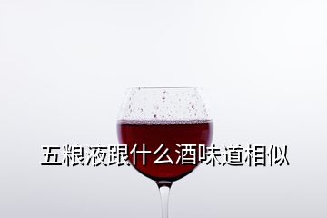 五糧液跟什么酒味道相似