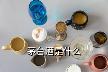 茅臺(tái)酒是什么