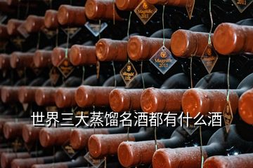 世界三大蒸餾名酒都有什么酒