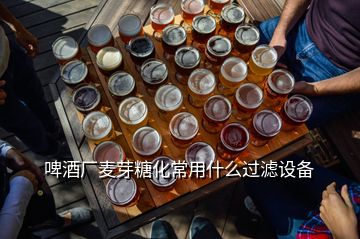 啤酒廠麥芽糖化常用什么過(guò)濾設(shè)備