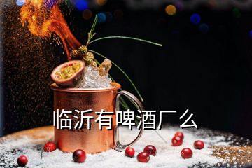 臨沂有啤酒廠么