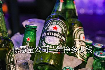 徐慧瑩公司一年掙多少錢