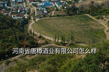 河南省唐樽酒業(yè)有限公司怎么樣