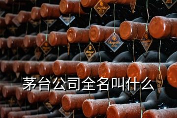 茅臺(tái)公司全名叫什么